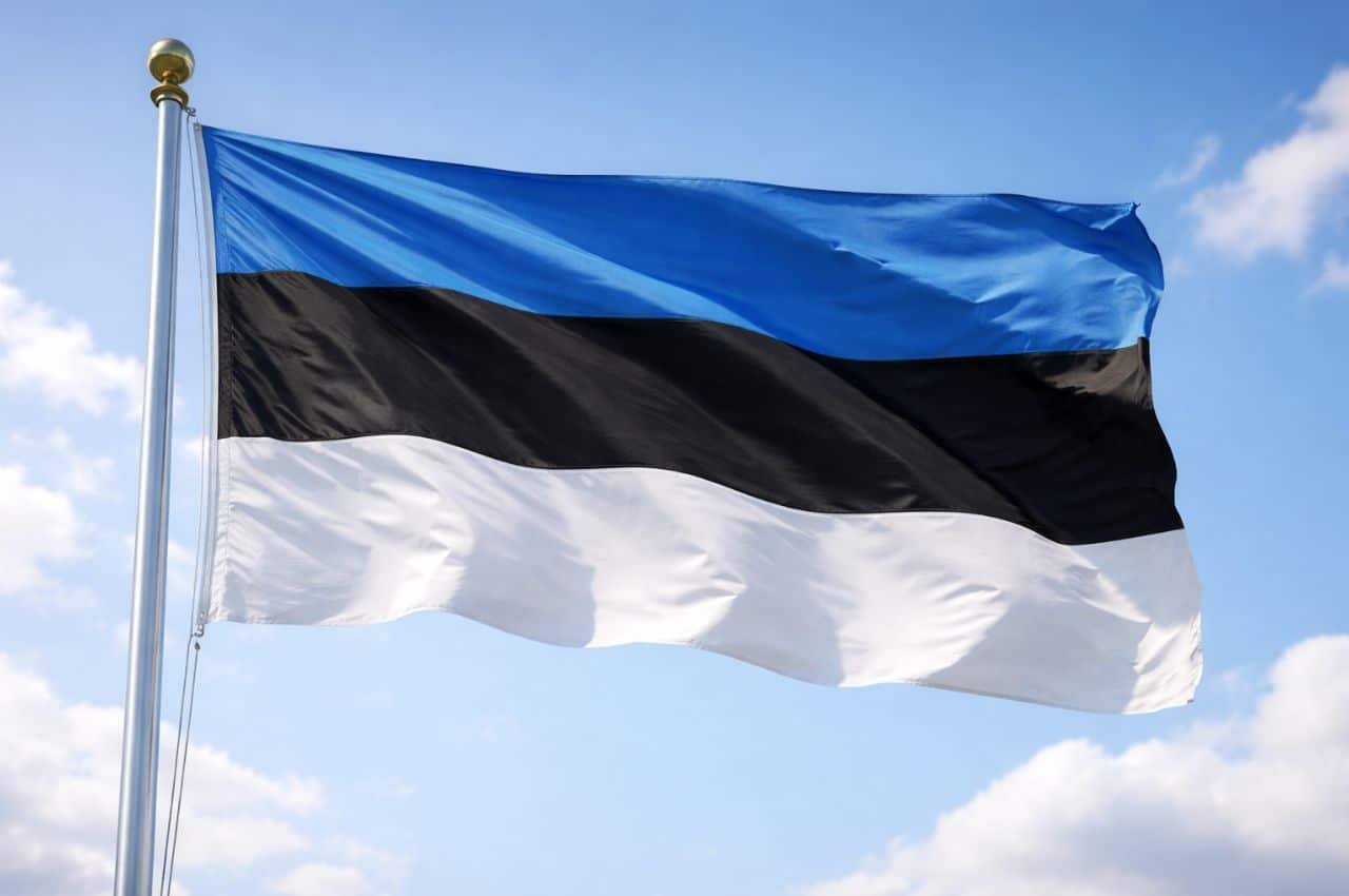 Прапор Естонії на тлі неба