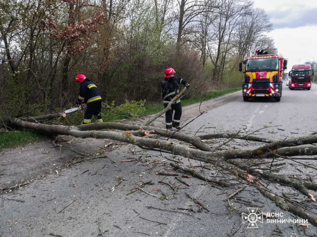 Рятувальники ДСНС прибирають повалене дерево з дороги після негоди в Україні