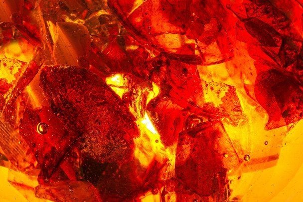 давній бурштин еволюція смола викопна знахідка до динозаврів