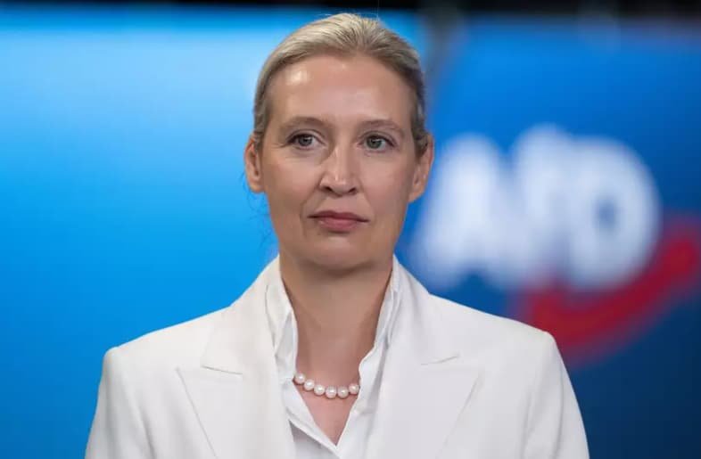 АдН лідерка пояснює суперечність між своїм життям і маніфестом партії на пресконференції