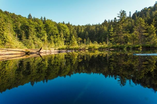 Журавлине озеро Карпати — загадкова водойма серед гір, яку місцеві називають Мертвим озером