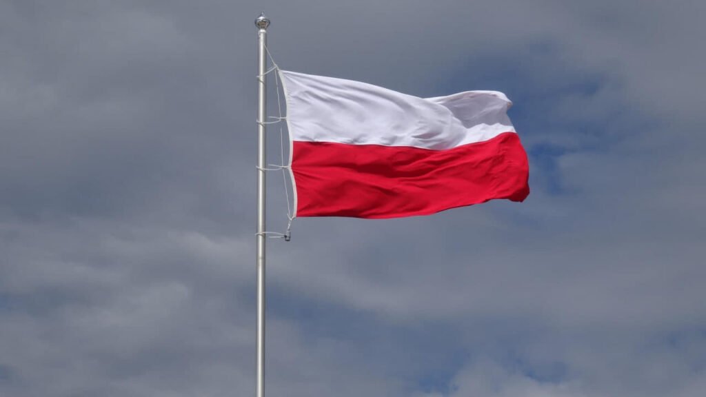 затримання у Польщі через погрози Туску в соціальних мережах